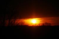 Imagine atasata: IMG_1182.JPG